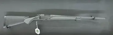 Preview: 700  SPS  DM  LL  61  cm  .308Win